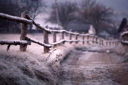 雾，冬天，篱笆，白霜，路径，篱笆