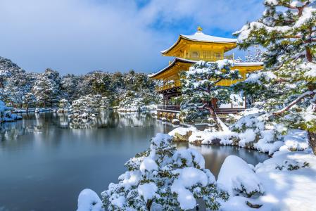 日本，花园，池塘，冬天，雪地，树木，宝塔