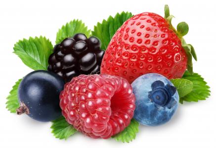 黑莓，黑醋栗，草莓，蓝莓，覆盆子