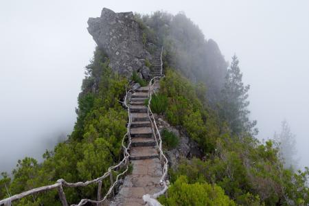 山，楼梯，步骤，雾