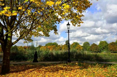 秋天的公园，灯笼，和尚，落叶