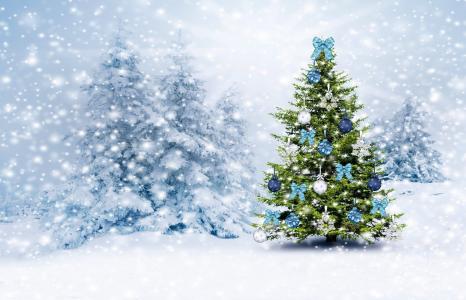 树，美丽，装饰，雪，冷杉，浅色背景，新的一年