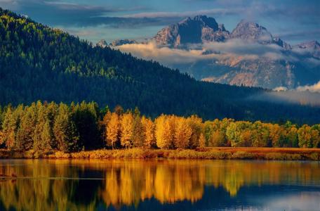 秋天，森林，山，山，湖，反射