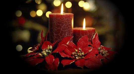 蜡烛，鲜花，灯光，红色色调，新的一年
