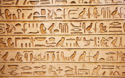 建筑,古代,埃及,象形文字