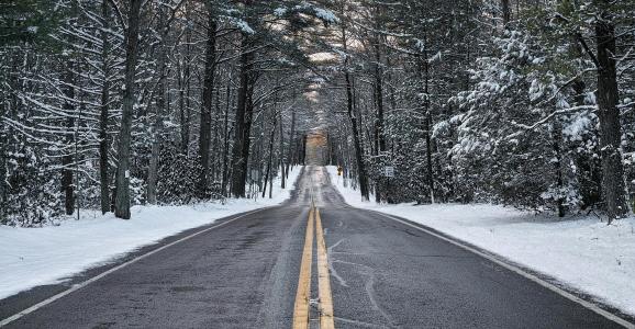 冬天，树木，雪，路，标记，标志