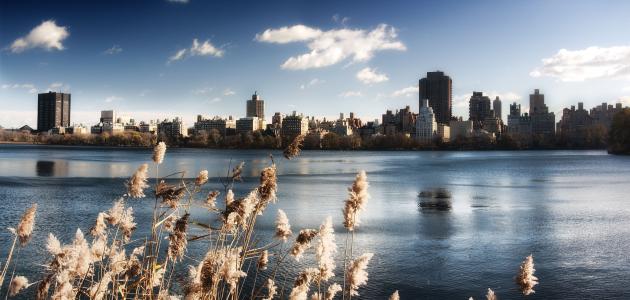 水，湖，天空，中央公园，建筑物，纽约