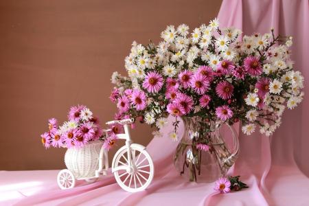 水罐，鲜花，花盆，自行车，窗帘，布