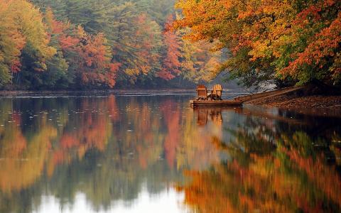 秋天，河，森林，树木，油漆，椅子，美女，沉默