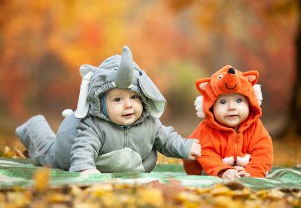 孩子们，孩子们，服装，大象，狐狸，性质，秋天，叶子