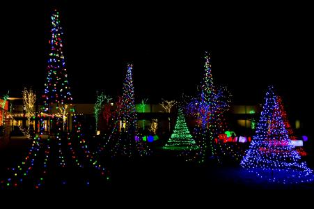 圣诞树，假期，灯，2018年