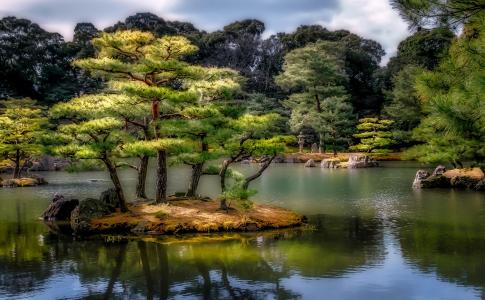日本，公园，自然，夏天，池塘，树木，小岛