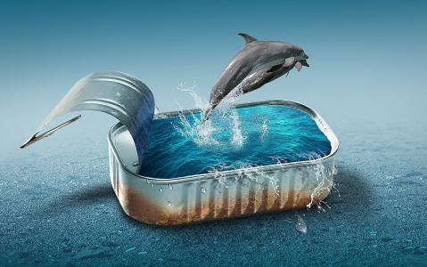 海豚，游泳池，罐头食物，水，photomanipulation