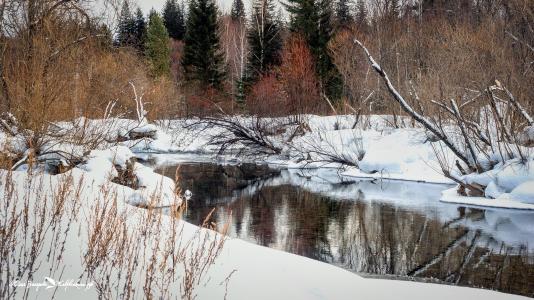 雪，森林，反射，河askhyz，哈卡斯，茱莉亚Zakharova