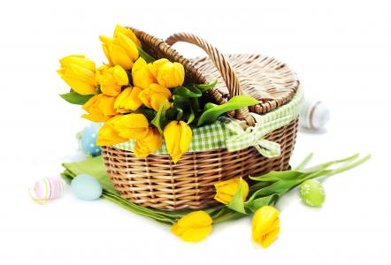 节日，花束，篮子，鸡蛋，复活节，郁金香