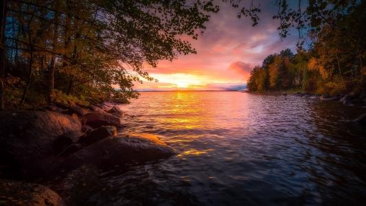 日落，秋天的森林，Nyasiyarvi湖，芬兰坦佩雷，Juuso Oikarinen