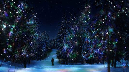圣诞树，森林，冬天，照明，新年，装饰品