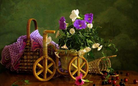 篮子，篮子，浆果，鲜花，自行车，盆，樱桃，围巾，鲜花，矮牵牛