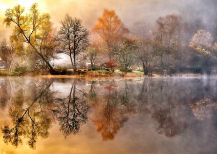水，树木，房屋，天空，秋，自然，雾，宽屏