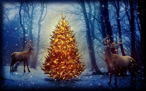 圣诞树，新年，假期，鹿