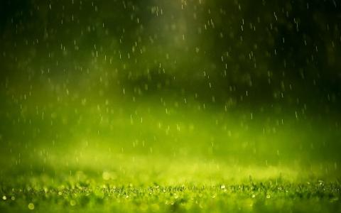 水滴，雨，清晰度，宏，草，水