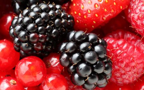 浆果，草莓，黑莓。