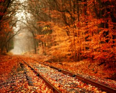 秋天，叶子，铁轨上的叶子