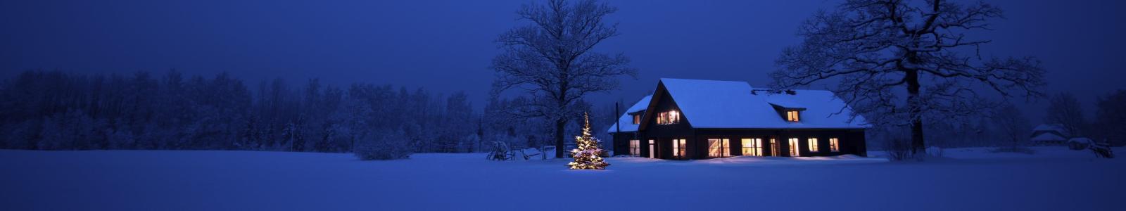 全景，冬天，树，房子