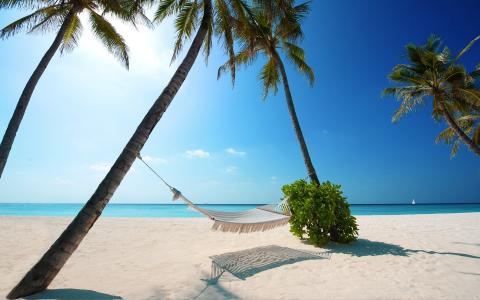 棕榈树，热带地区，沙滩，吊床