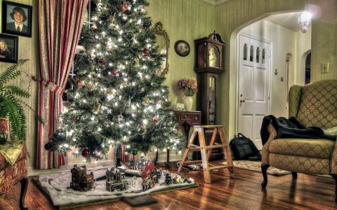 圣诞树，房间，礼物，灯，明亮