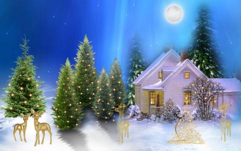 圣诞节，光，城市，冬天，村，雪
