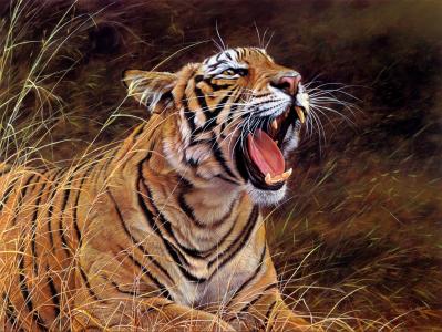 老虎，嘴，草，捕食者，艺术