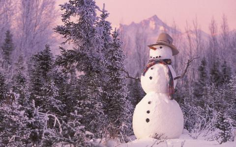 新的一年，森林，雪，雪人，围巾