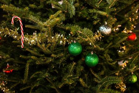 树，树，云杉，分支机构，玩具，新年，毛皮树，球，绿色，金属丝，冬天