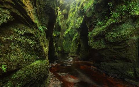 苏格兰，自然，岩石，青苔，水，流