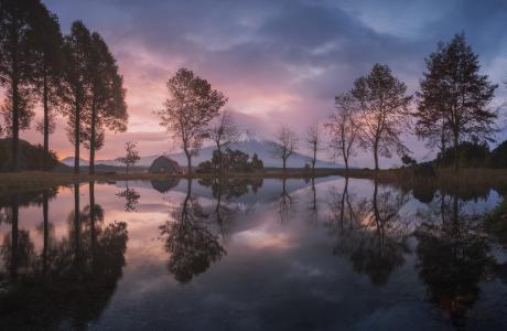 天空，湖泊，树木，藤山，反射，日本富士山，丹妮尔Korjonov