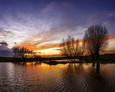 河流，树木，天空，日落，反射，Arek Kikulski