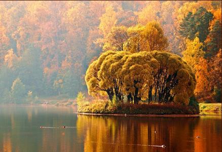 秋天，树木，河流，天空