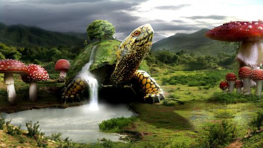 乌龟，蘑菇，湖，山，云