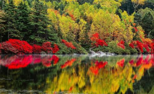 自然，河，森林，山，秋季，美丽，反射，水