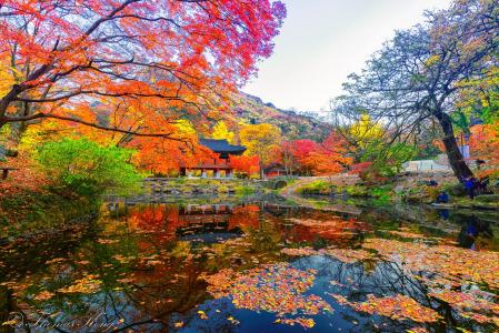 秋色，国立公园，Naejangasan，韩国，托马斯·孔