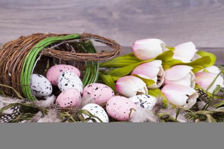 假期，复活节，篮子，鸡蛋，krashenki，鲜花，郁金香，羽毛，草