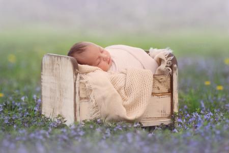 孩子，婴儿，婴儿，睡觉，婴儿床，性质，草坪，鲜花