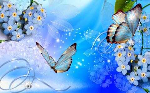 蝴蝶，鲜花，蓝色背景