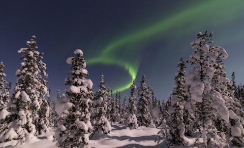 冬季森林，北极光，瓦西里耶夫阿列克谢