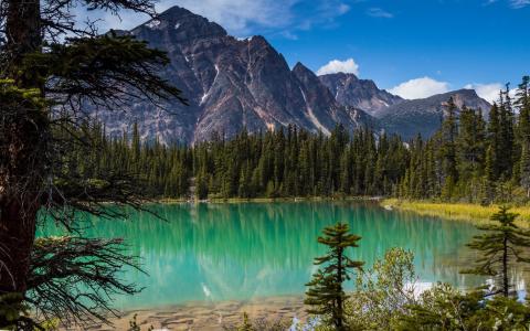 自然，加拿大，森林，山，湖，照片，积极