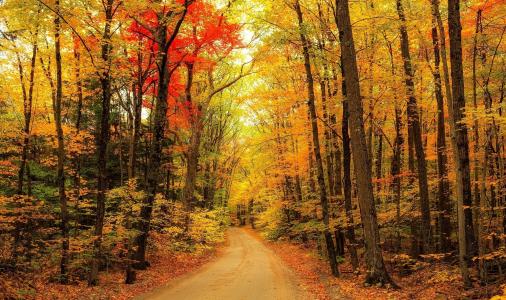 性质，秋季，道路