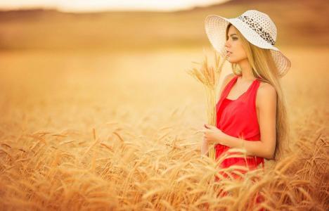 女孩，金发女郎，构成，场，小麦，帽子