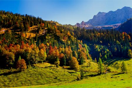 奥地利，蒂罗尔州，小山，树，Karwendel，山，天空