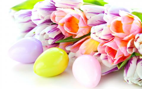 郁金香，春天，鸡蛋，模糊，复活节